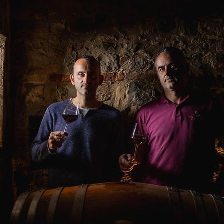 Wine Resort Colsereno Μονταλτσίνο Εξωτερικό φωτογραφία