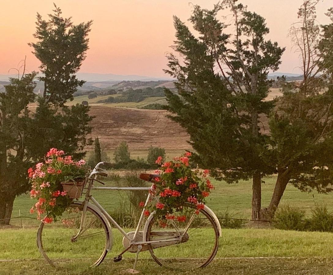 Wine Resort Colsereno Μονταλτσίνο Εξωτερικό φωτογραφία