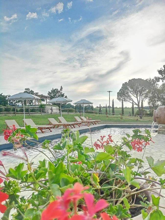 Wine Resort Colsereno Μονταλτσίνο Εξωτερικό φωτογραφία