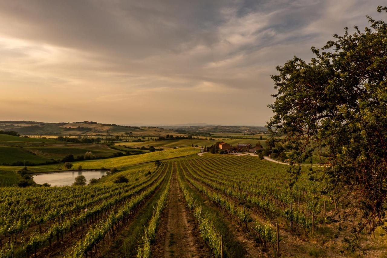 Wine Resort Colsereno Μονταλτσίνο Εξωτερικό φωτογραφία