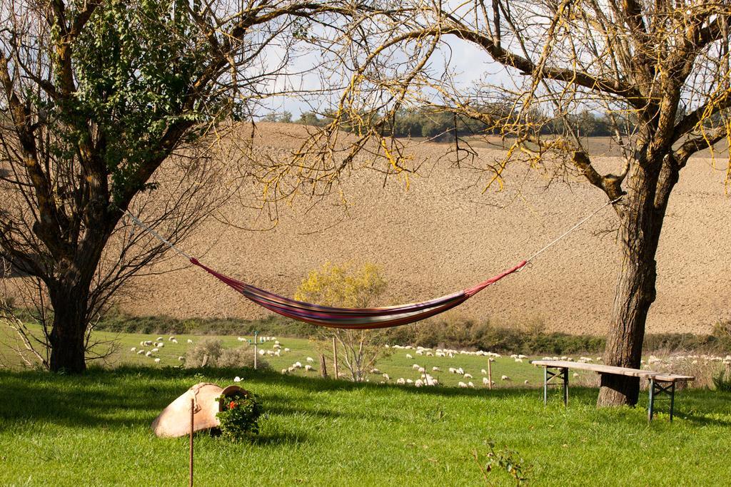 Wine Resort Colsereno Μονταλτσίνο Εξωτερικό φωτογραφία