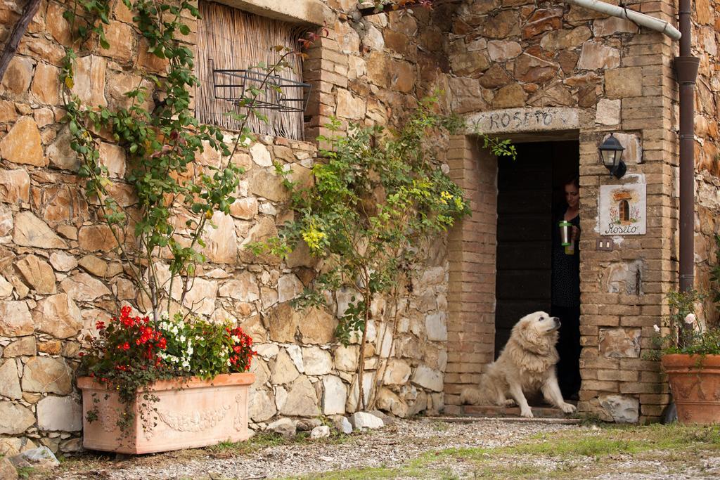Wine Resort Colsereno Μονταλτσίνο Εξωτερικό φωτογραφία