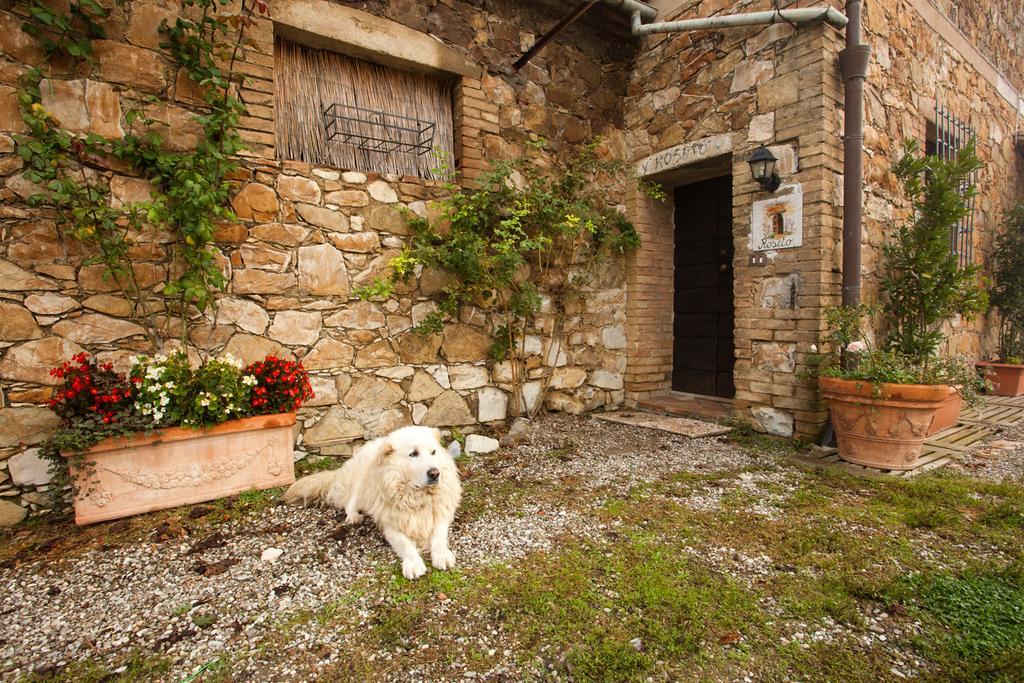 Wine Resort Colsereno Μονταλτσίνο Εξωτερικό φωτογραφία