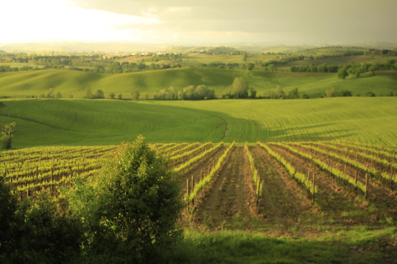 Wine Resort Colsereno Μονταλτσίνο Εξωτερικό φωτογραφία