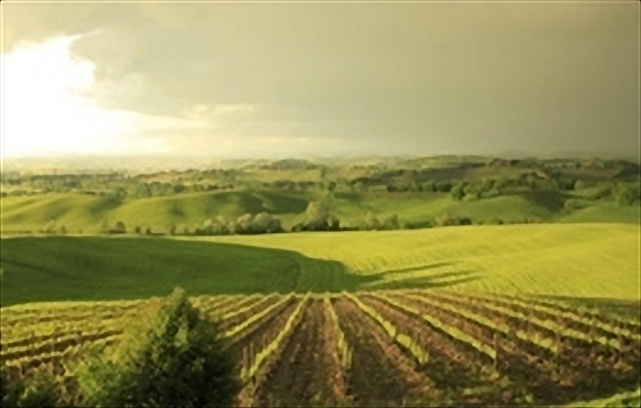 Wine Resort Colsereno Μονταλτσίνο Εξωτερικό φωτογραφία